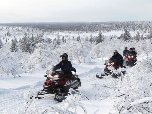 Snowmobile safari