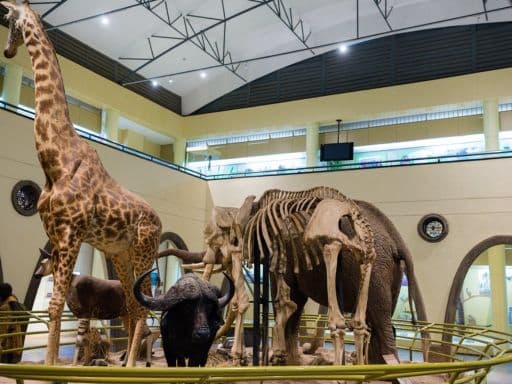 Nairobi National Museum