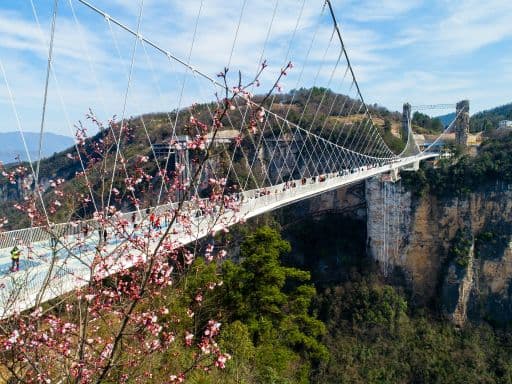 Zhangjiajie Grand-Canyon