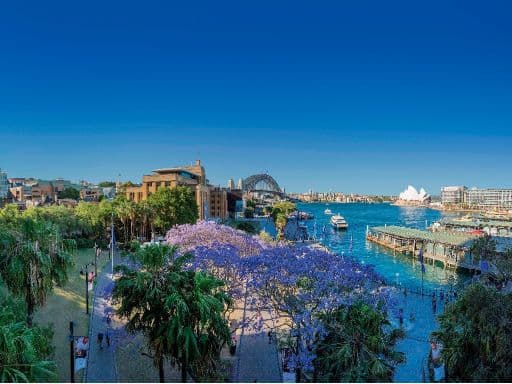 BEST OF MELBOURNE & SYDNEY